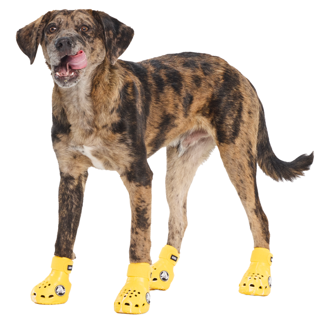 Crocs™ Shoes For Dogs