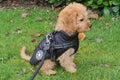 Wintro - Quilted Waterproof Dog Coat with Harness Built In