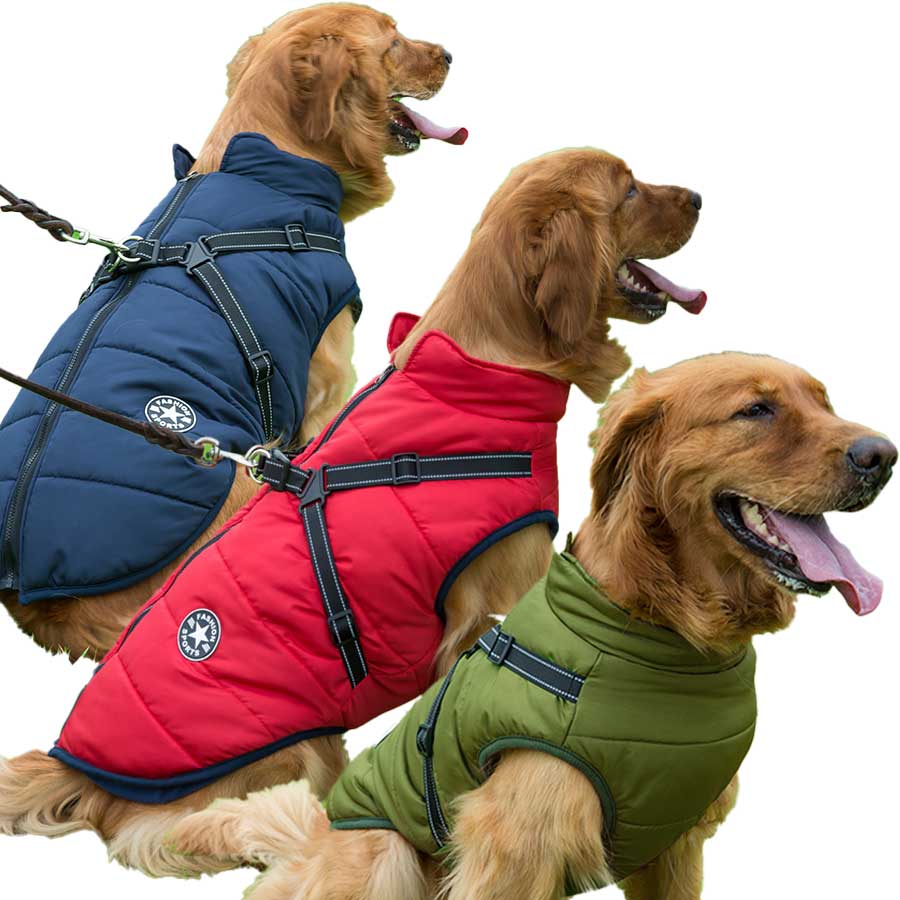 Wintro - Quilted Waterproof Dog Coat with Harness Built In