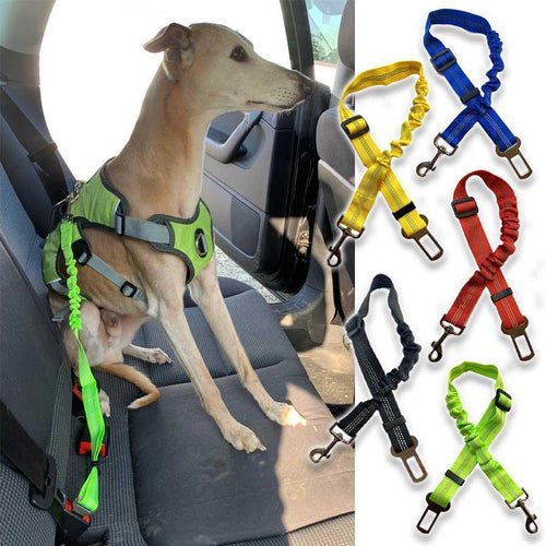 Car Seat Belt Clip to Harness Restraint