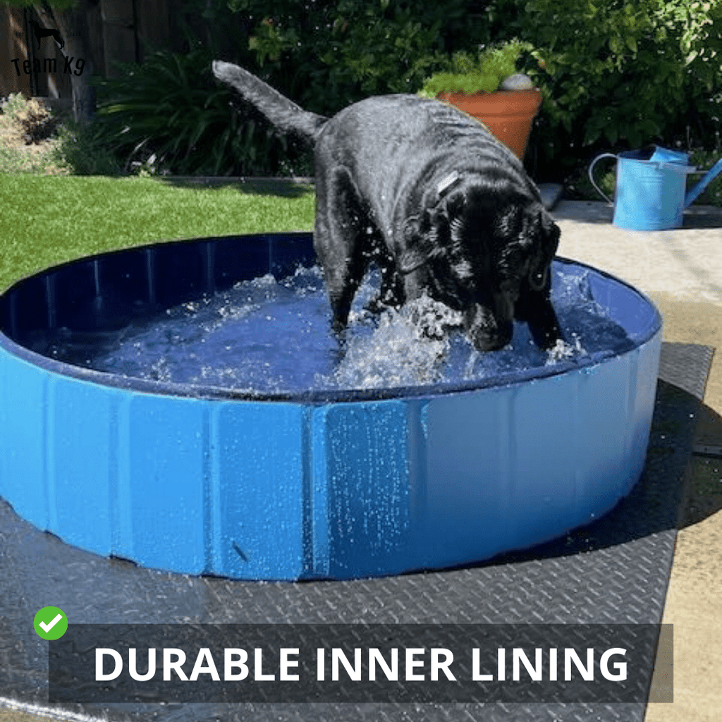 NEW Pop-Up Foldable Outdoor Dog Bath & Swimming Pool With Side Drain (Aqua Blue)
