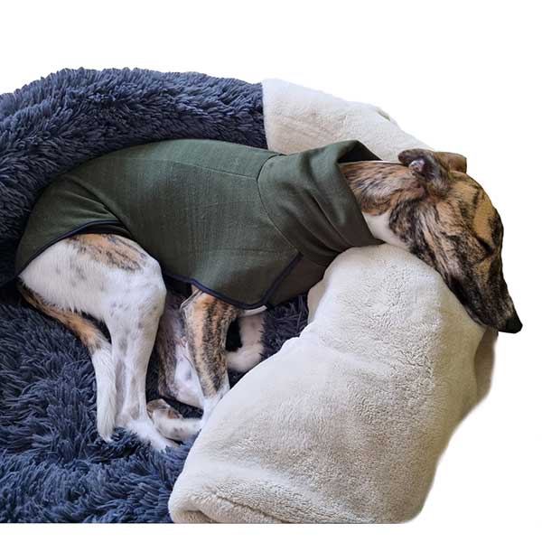 Fleece Sighthound Base-Layer Coat with Underbelly and Snood