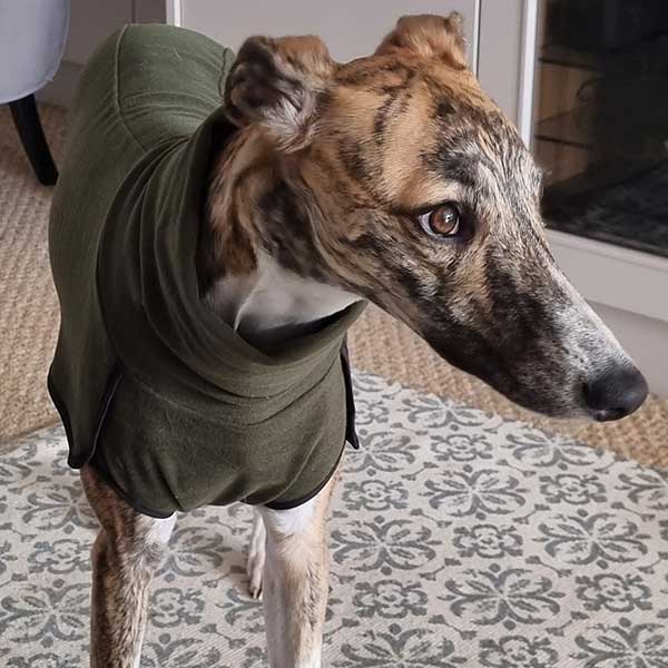 Fleece Sighthound Base-Layer Coat with Underbelly and Snood