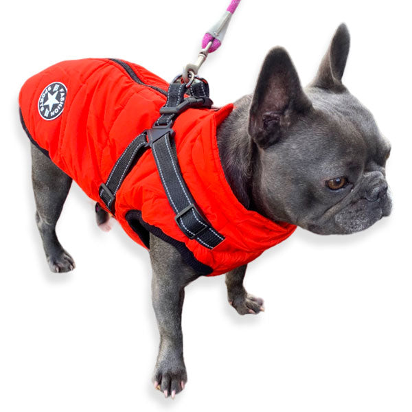 Wintro - Quilted Waterproof Dog Coat with Harness Built In