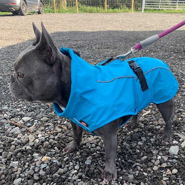 Vimy & DryDogs Lightweight Waterproof Raincoat with Harness Hole Zip