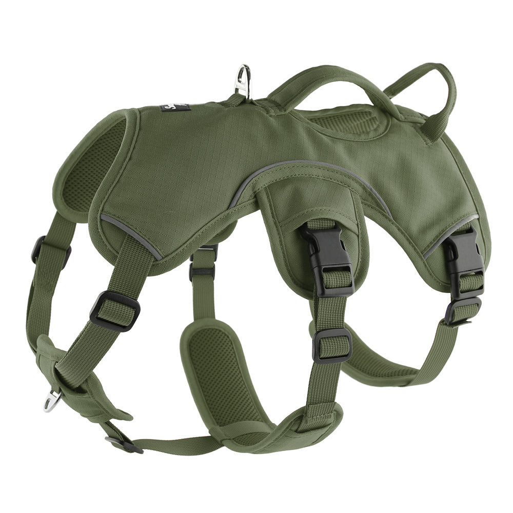Sighthound Harness | Whippets, Greyhounds & Lurchers | Escape Proof