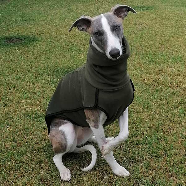Fleece Sighthound Base-Layer Coat with Underbelly and Snood