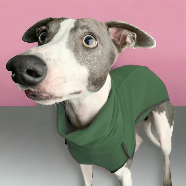 Fleece Sighthound Base-Layer Coat with Underbelly and Snood