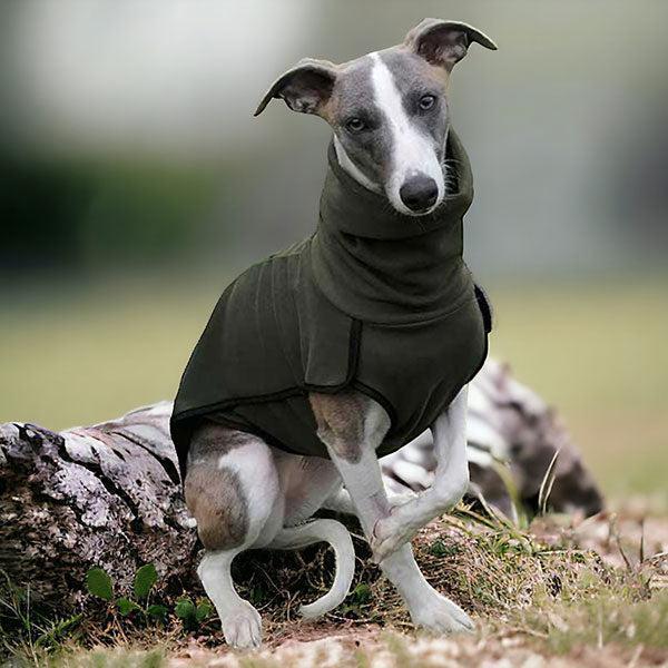 Fleece Sighthound Base-Layer Coat with Underbelly and Snood