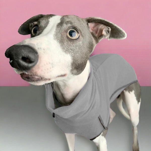 Fleece Sighthound Base-Layer Coat with Underbelly and Snood