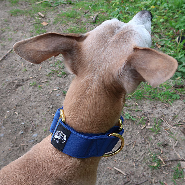 Martingale Collars - Soft with Brassed Fittings