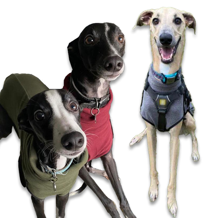 Fleece Sighthound Base-Layer Coat with Underbelly and Snood
