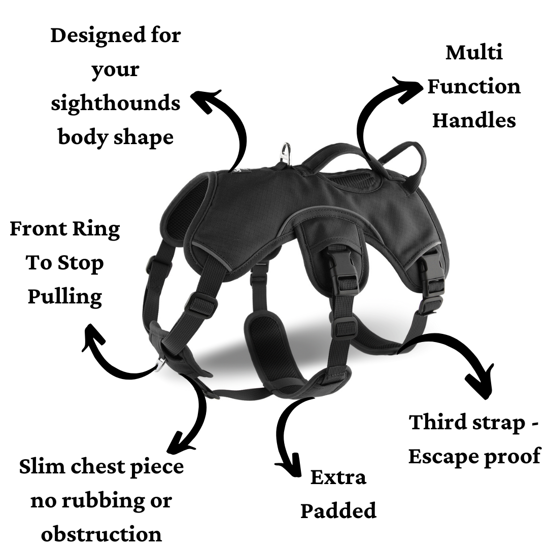 Sighthound Harness | Whippets, Greyhounds & Lurchers | Escape Proof