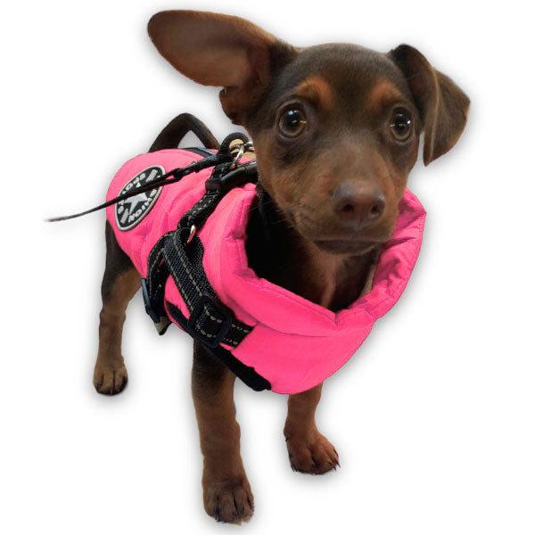 Wintro - Quilted Waterproof Dog Coat with Harness Built In