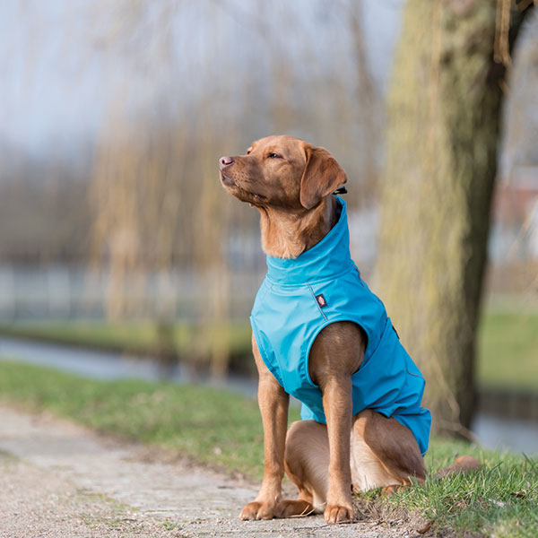 Vimy & DryDogs Lightweight Waterproof Raincoat with Harness Hole Zip