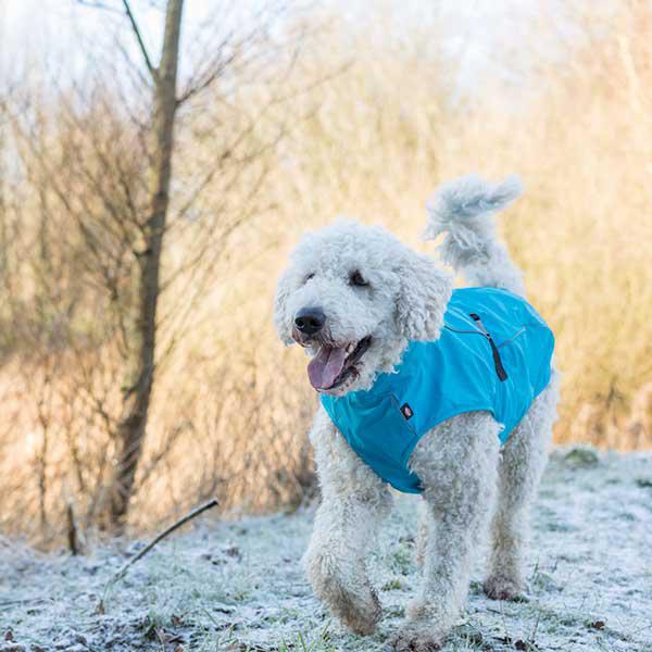 Vimy & DryDogs Lightweight Waterproof Raincoat with Harness Hole Zip