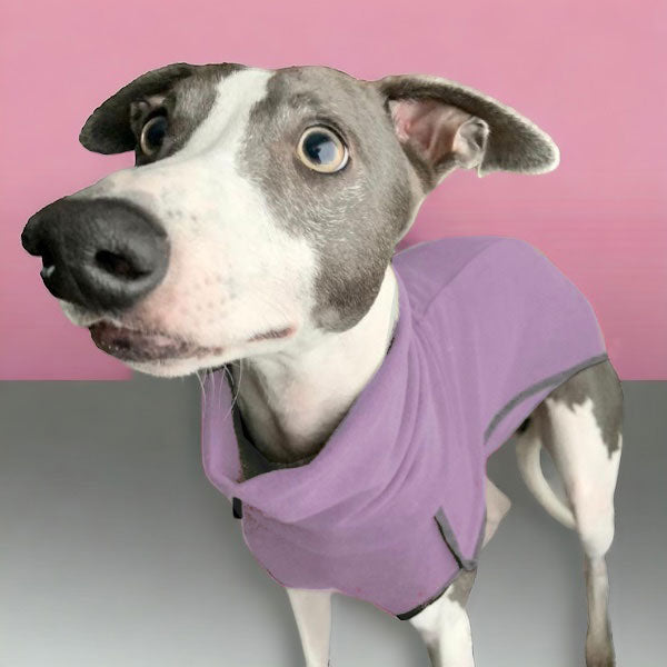 Fleece Sighthound Base-Layer Coat with Underbelly and Snood