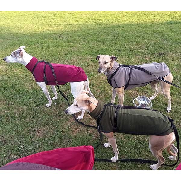 Fleece Sighthound Base-Layer Coat with Underbelly and Snood