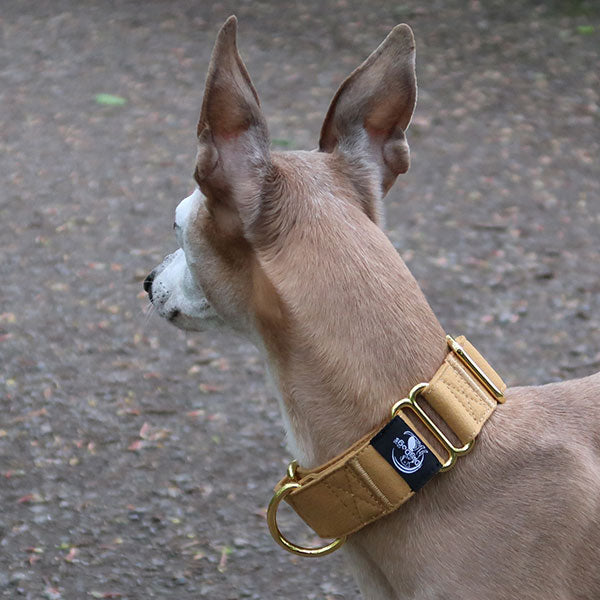 Martingale Collars - Soft with Brassed Fittings