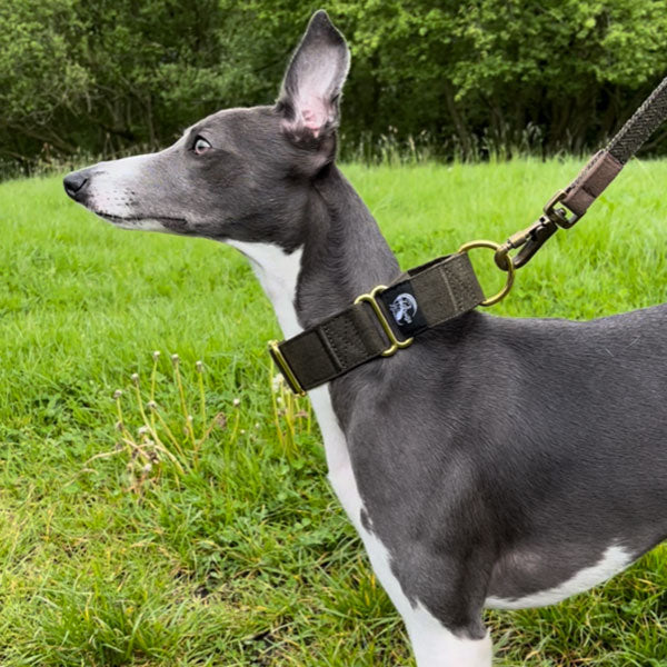 Martingale Collars - Soft with Brassed Fittings