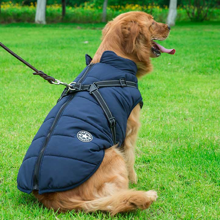 Wintro - Quilted Waterproof Dog Coat with Harness Built In