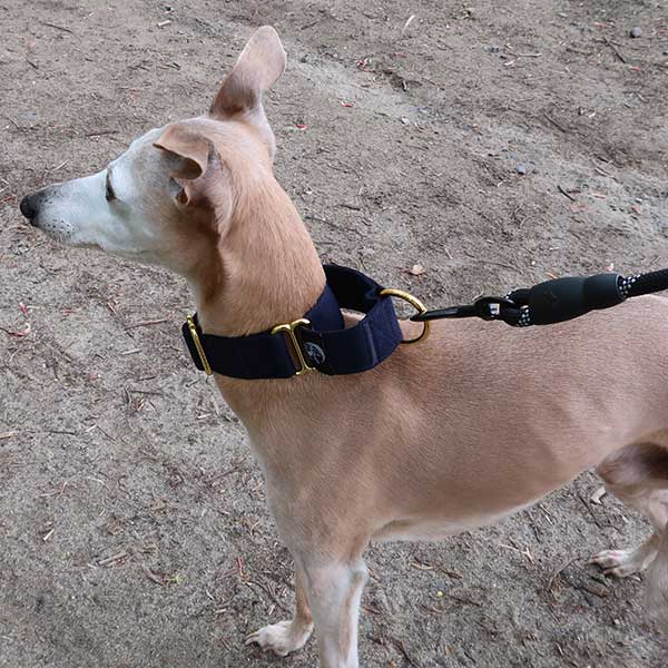 Martingale Collars - Soft with Brassed Fittings