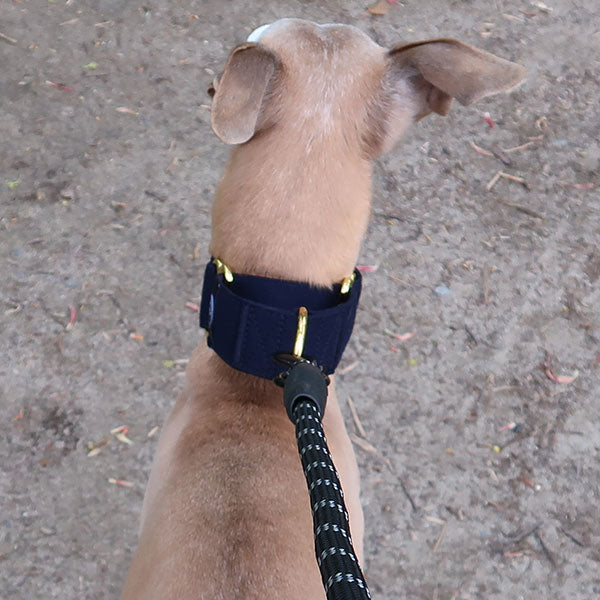Martingale Collars - Soft with Brassed Fittings