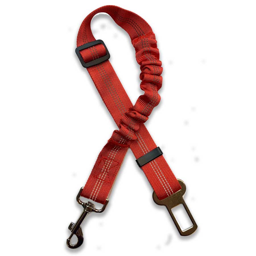Car Seat Belt Clip to Harness Restraint