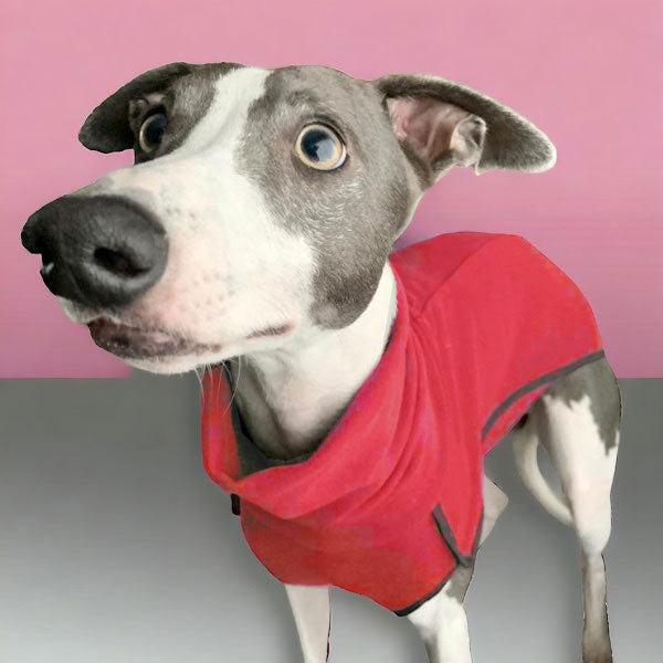 Fleece Sighthound Base-Layer Coat with Underbelly and Snood