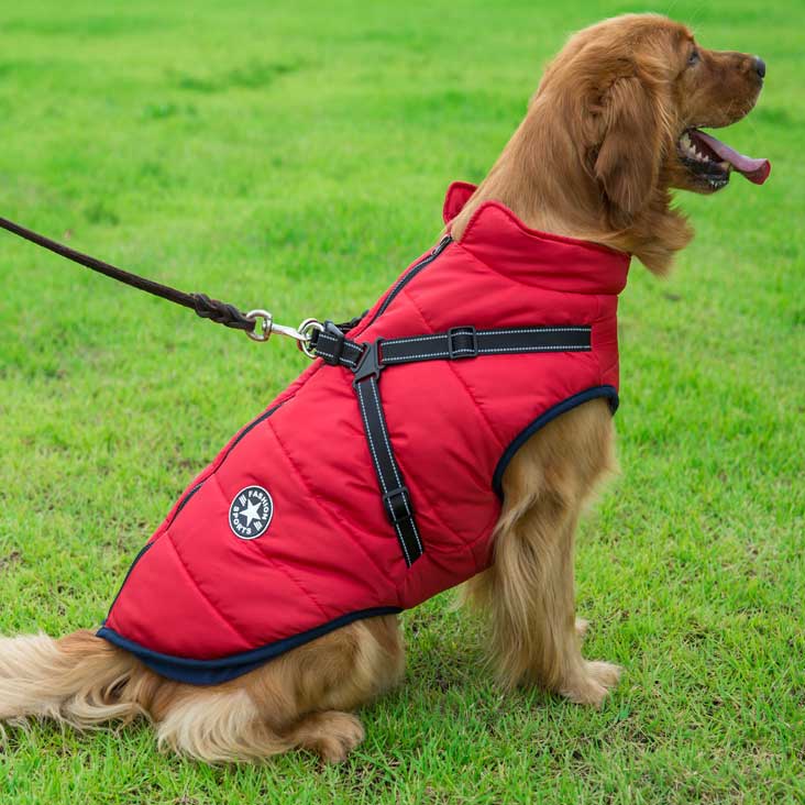 Wintro - Quilted Waterproof Dog Coat with Harness Built In