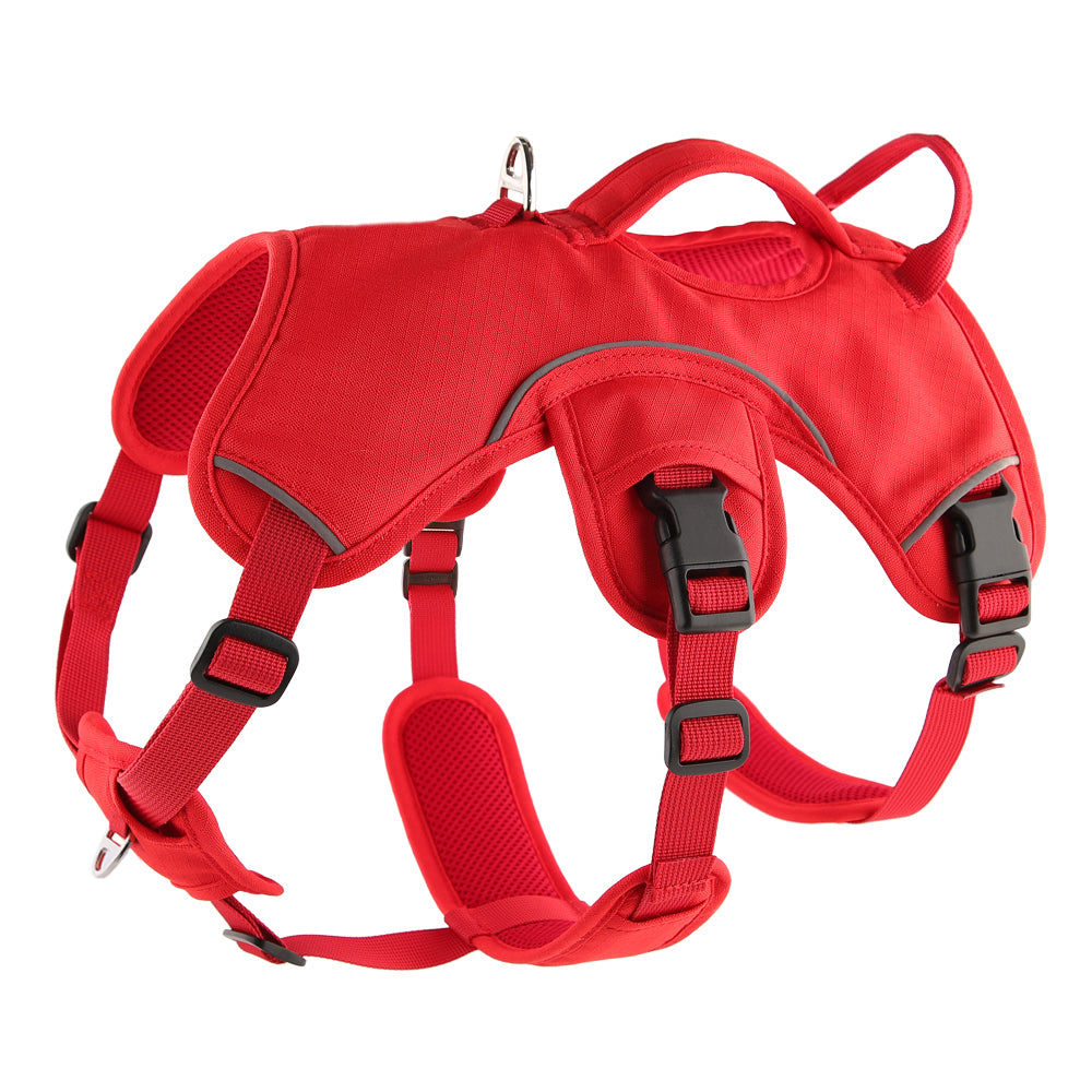 Sighthound Harness | Whippets, Greyhounds & Lurchers | Escape Proof