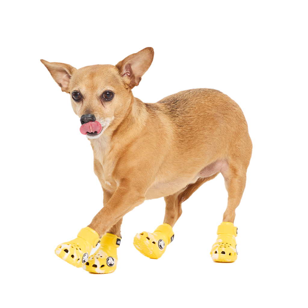 Crocs™ Shoes For Dogs