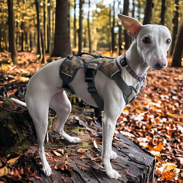 Escape proof Harness (3 Strap)