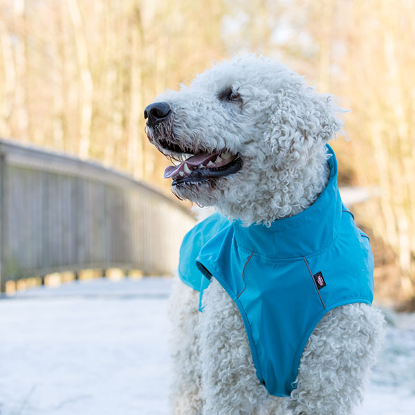 Vimy & DryDogs Lightweight Waterproof Raincoat with Harness Hole Zip