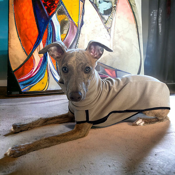 Fleece Sighthound Base-Layer Coat with Underbelly and Snood