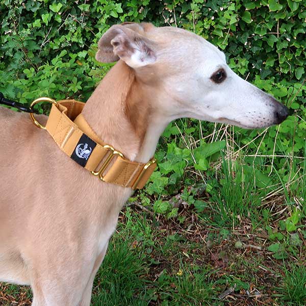 Martingale Collars - Soft with Brassed Fittings
