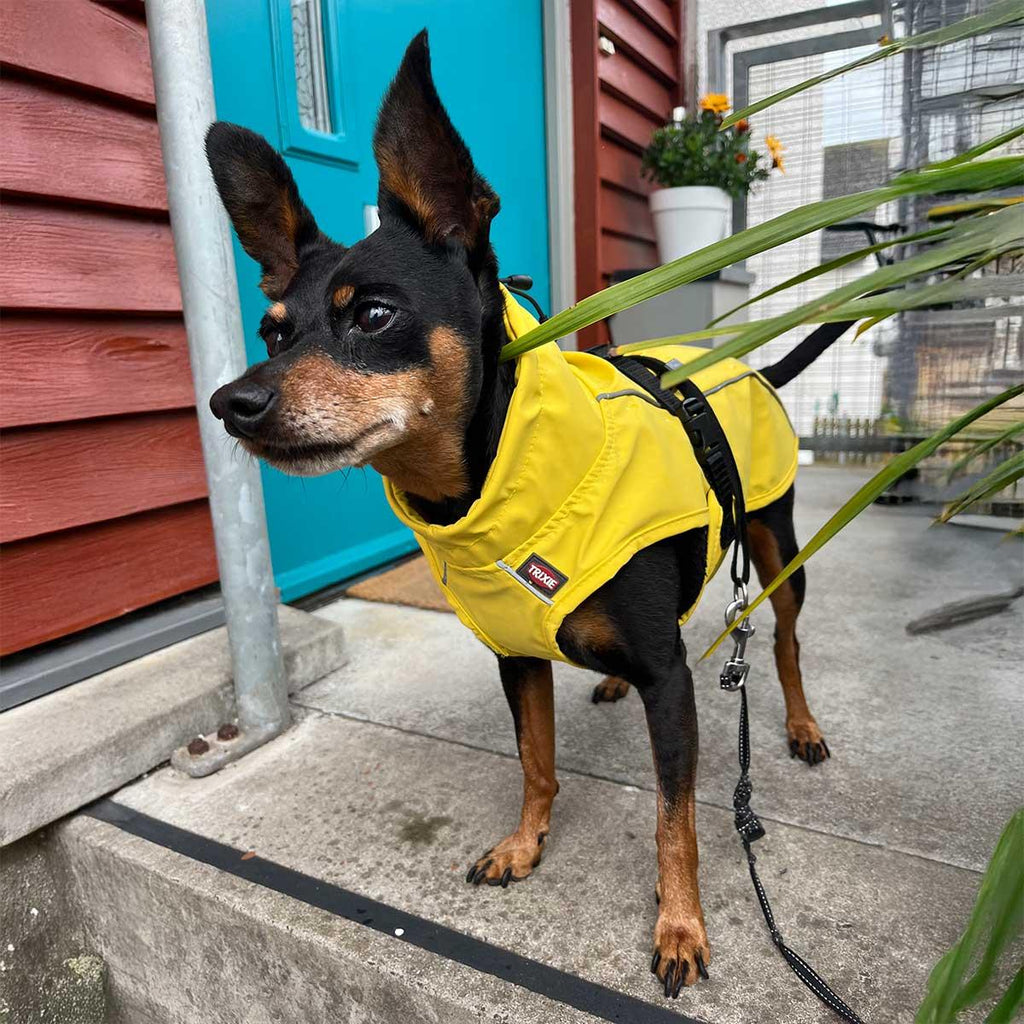 Vimy & DryDogs Lightweight Waterproof Raincoat with Harness Hole Zip
